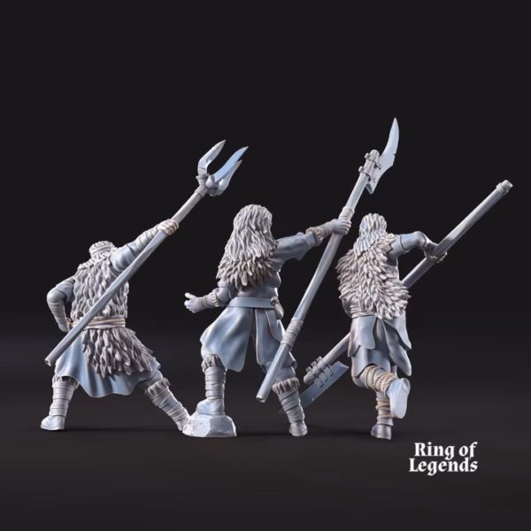 spearmen fellmount reavers 6 einheiten 4
