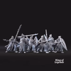 6 Spearmen with shield | Galanthir Elves