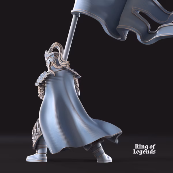 royal guard banner 1
